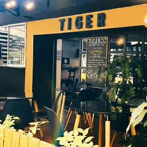 Hostel Tiger, Medellin